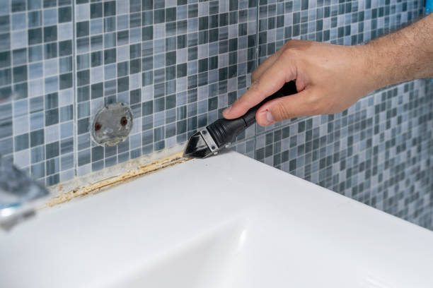 Best Black Mold Remediation in Bright, IN